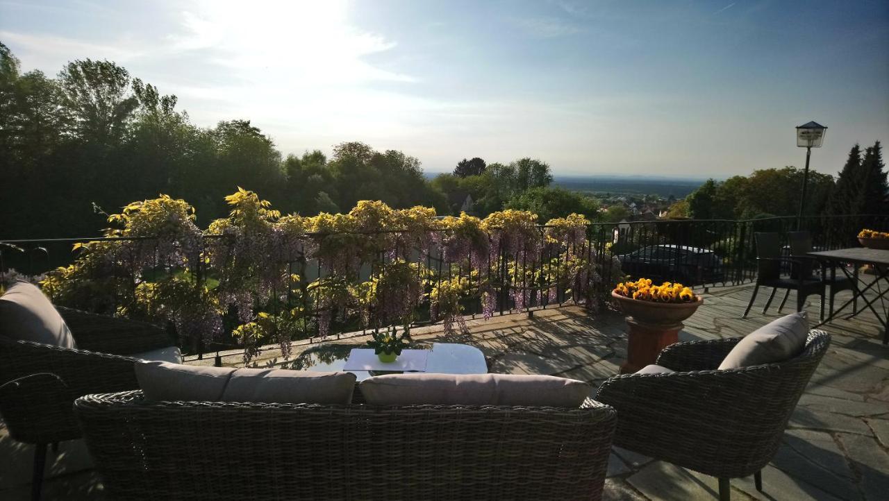 Kaefernberg - Weinhotel Alzenau in Unterfranken Luaran gambar