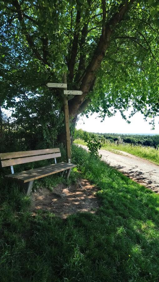 Kaefernberg - Weinhotel Alzenau in Unterfranken Luaran gambar