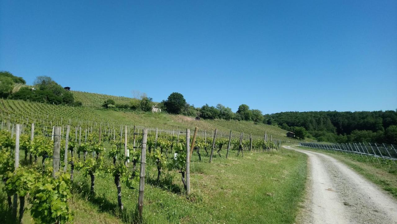 Kaefernberg - Weinhotel Alzenau in Unterfranken Luaran gambar