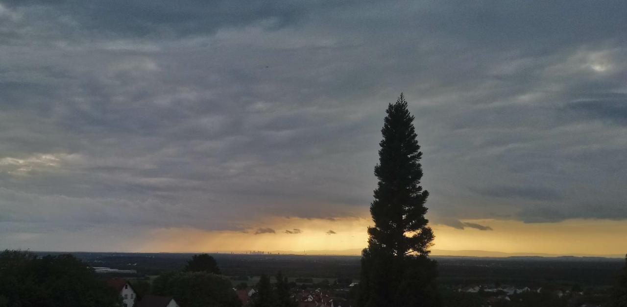 Kaefernberg - Weinhotel Alzenau in Unterfranken Luaran gambar